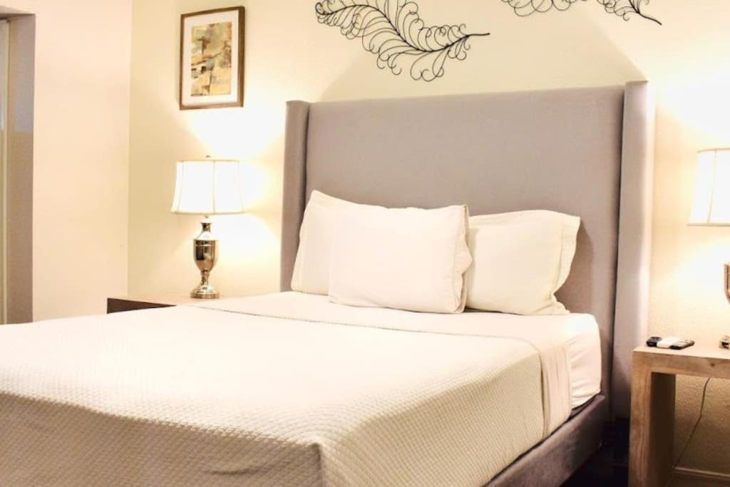 Montrose Pied-A-Terre Apartments Walking Distance To Museums Houston Eksteriør bilde